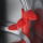 RUSSELL HOBBS Colours+ Kremowy 20415-70RH - 361522 - zdjęcie 5